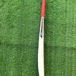 Karan Ambala Upper Blade Gold Edition - Hard Tennis Ultra Edition