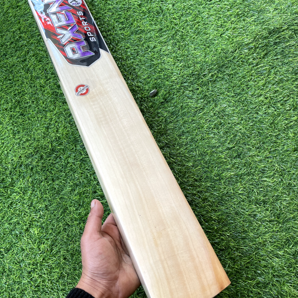 Karan Ambala Upper Blade Gold Edition - Hard Tennis Ultra Edition