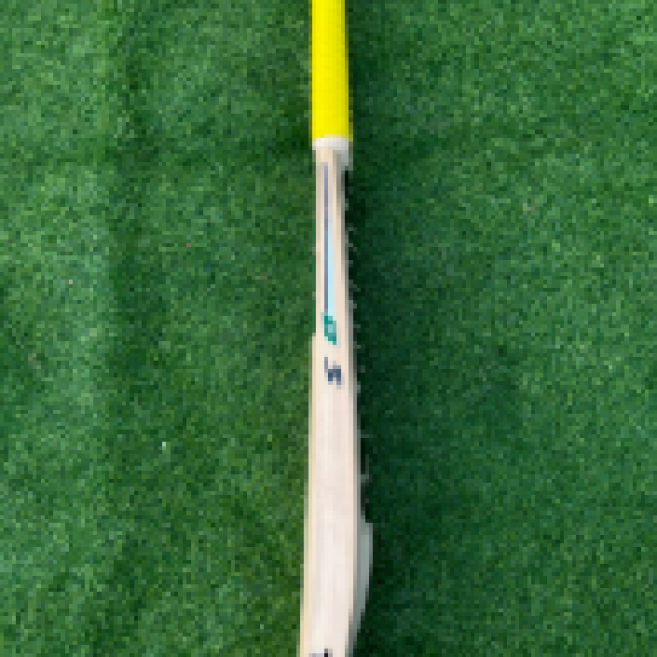 SS season bat