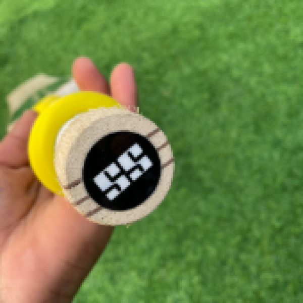 SS season bat