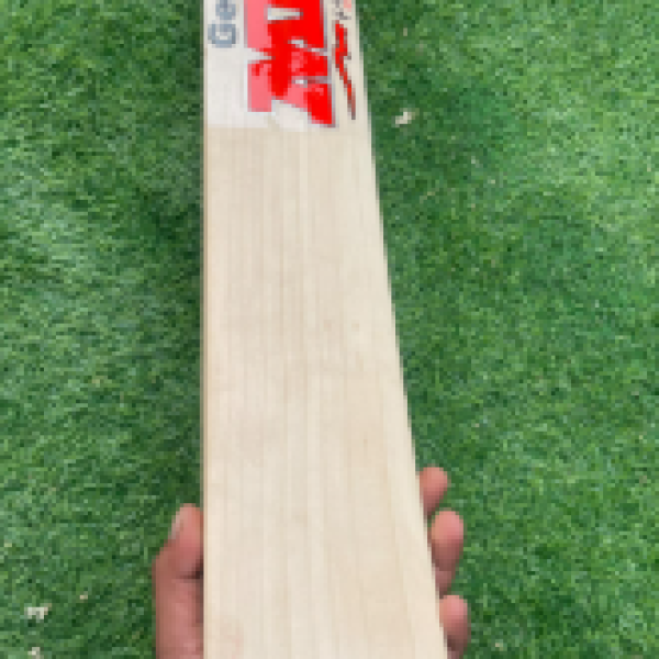 Season bat MRF